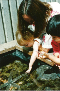 Touching a sea star at the Seattle Aquarium at 20 months